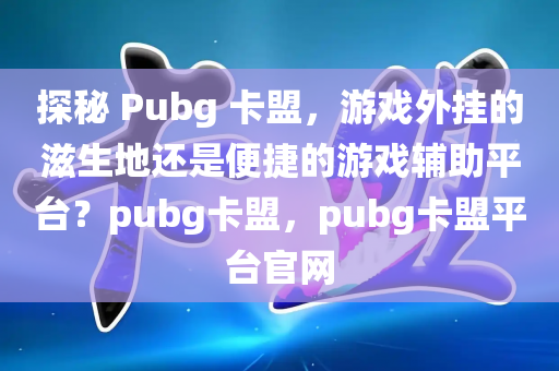 探秘 Pubg 卡盟，游戏外挂的滋生地还是便捷的游戏辅助平台？pubg卡盟，pubg卡盟平台官网