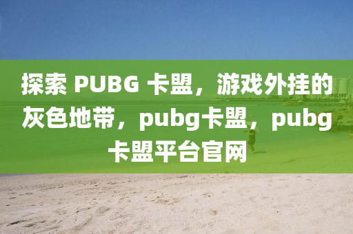 探索 PUBG 卡盟，游戏外挂的灰色地带，pubg卡盟，pubg卡盟平台官网