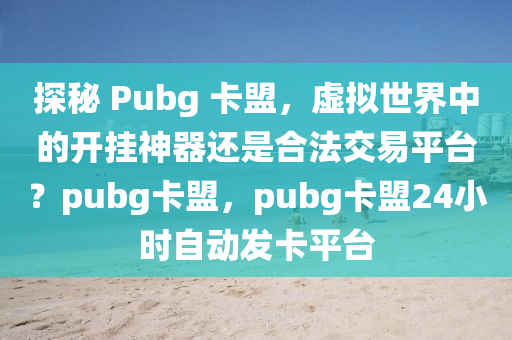探秘 Pubg 卡盟，虚拟世界中的开挂神器还是合法交易平台？pubg卡盟，pubg卡盟24小时自动发卡平台