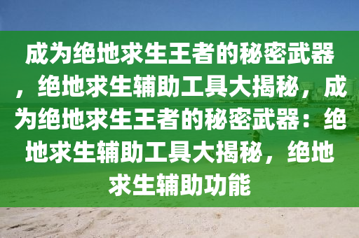 成为绝地求生王者的秘密武器，绝地求生辅助工具大揭秘，成为绝地求生王者的秘密武器：绝地求生辅助工具大揭秘，绝地求生辅助功能