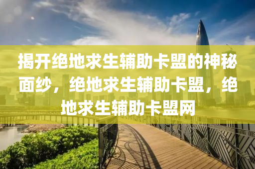 揭开绝地求生辅助卡盟的神秘面纱，绝地求生辅助卡盟，绝地求生辅助卡盟网