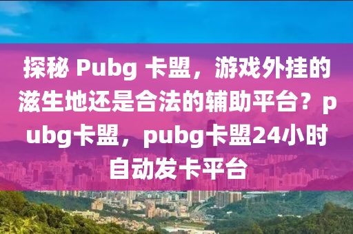 探秘 Pubg 卡盟，游戏外挂的滋生地还是合法的辅助平台？pubg卡盟，pubg卡盟24小时自动发卡平台