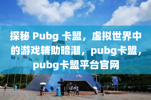 探秘 Pubg 卡盟，虚拟世界中的游戏辅助暗潮，pubg卡盟，pubg卡盟平台官网