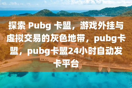 探索 Pubg 卡盟，游戏外挂与虚拟交易的灰色地带，pubg卡盟，pubg卡盟24小时自动发卡平台