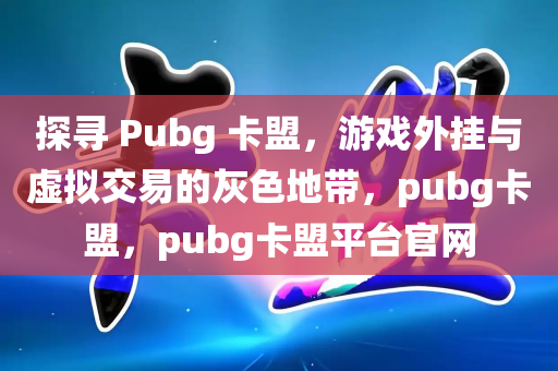 探寻 Pubg 卡盟，游戏外挂与虚拟交易的灰色地带，pubg卡盟，pubg卡盟平台官网