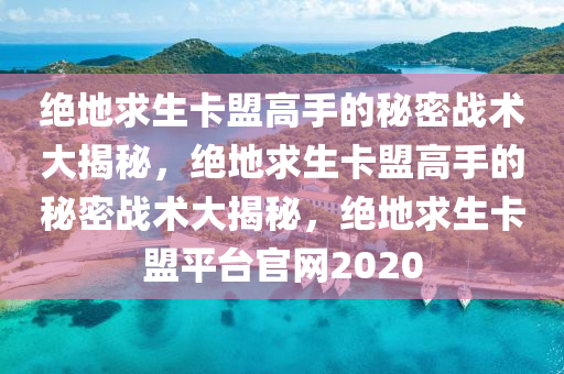 绝地求生卡盟高手的秘密战术大揭秘，绝地求生卡盟高手的秘密战术大揭秘，绝地求生卡盟平台官网2020