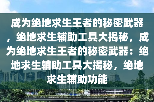 成为绝地求生王者的秘密武器，绝地求生辅助工具大揭秘，成为绝地求生王者的秘密武器：绝地求生辅助工具大揭秘，绝地求生辅助功能