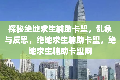 探秘绝地求生辅助卡盟，乱象与反思，绝地求生辅助卡盟，绝地求生辅助卡盟网