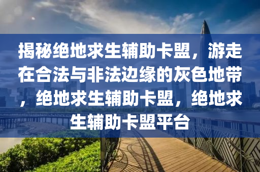 揭秘绝地求生辅助卡盟，游走在合法与非法边缘的灰色地带，绝地求生辅助卡盟，绝地求生辅助卡盟平台