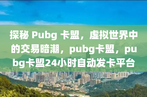 探秘 Pubg 卡盟，虚拟世界中的交易暗潮，pubg卡盟，pubg卡盟24小时自动发卡平台