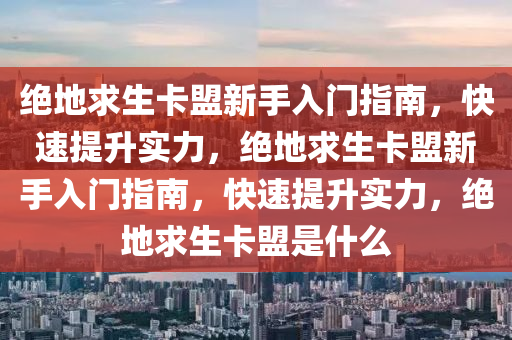 绝地求生卡盟新手入门指南，快速提升实力，绝地求生卡盟新手入门指南，快速提升实力，绝地求生卡盟是什么