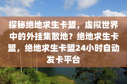 探秘绝地求生卡盟，虚拟世界中的外挂集散地？绝地求生卡盟，绝地求生卡盟24小时自动发卡平台