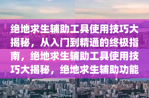 绝地求生辅助工具使用技巧大揭秘，从入门到精通的终极指南，绝地求生辅助工具使用技巧大揭秘，绝地求生辅助功能