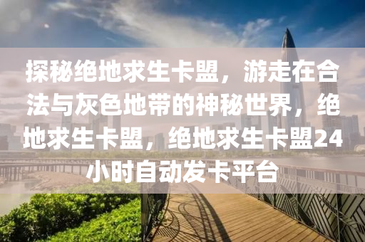 探秘绝地求生卡盟，游走在合法与灰色地带的神秘世界，绝地求生卡盟，绝地求生卡盟24小时自动发卡平台