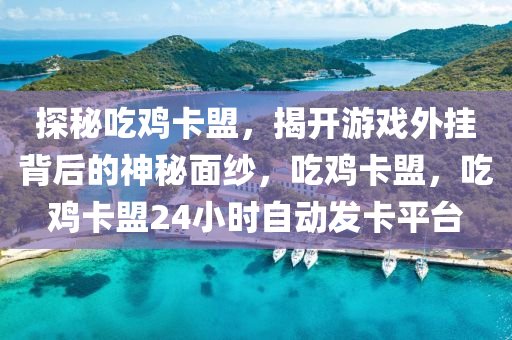 探秘吃鸡卡盟，揭开游戏外挂背后的神秘面纱，吃鸡卡盟，吃鸡卡盟24小时自动发卡平台