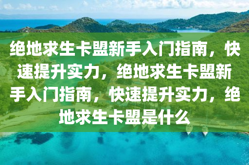 绝地求生卡盟新手入门指南，快速提升实力，绝地求生卡盟新手入门指南，快速提升实力，绝地求生卡盟是什么