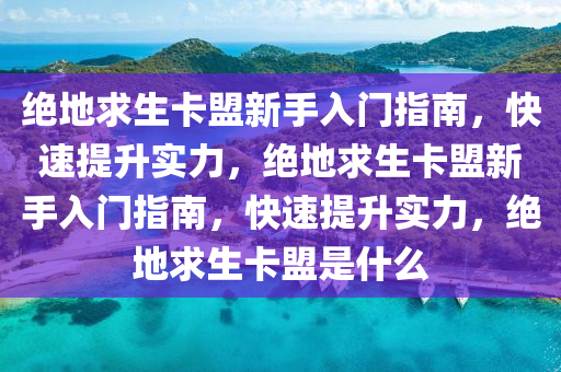 绝地求生卡盟新手入门指南，快速提升实力，绝地求生卡盟新手入门指南，快速提升实力，绝地求生卡盟是什么