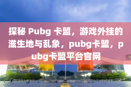 探秘 Pubg 卡盟，游戏外挂的滋生地与乱象，pubg卡盟，pubg卡盟平台官网