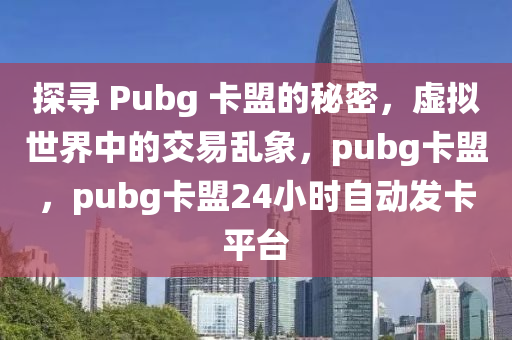 探寻 Pubg 卡盟的秘密，虚拟世界中的交易乱象，pubg卡盟，pubg卡盟24小时自动发卡平台