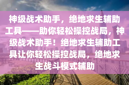 神级战术助手，绝地求生辅助工具——助你轻松操控战局，神级战术助手！绝地求生辅助工具让你轻松操控战局，绝地求生战斗模式辅助