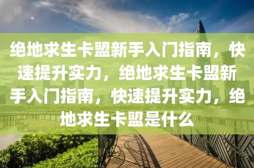 绝地求生卡盟新手入门指南，快速提升实力，绝地求生卡盟新手入门指南，快速提升实力，绝地求生卡盟是什么