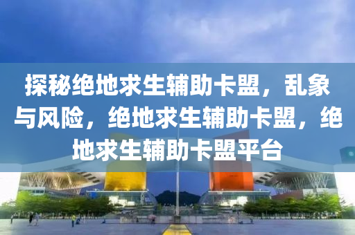 探秘绝地求生辅助卡盟，乱象与风险，绝地求生辅助卡盟，绝地求生辅助卡盟平台