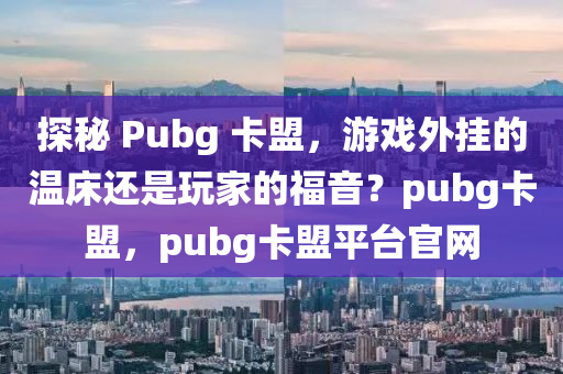 探秘 Pubg 卡盟，游戏外挂的温床还是玩家的福音？pubg卡盟，pubg卡盟平台官网