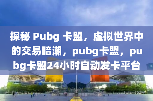 探秘 Pubg 卡盟，虚拟世界中的交易暗潮，pubg卡盟，pubg卡盟24小时自动发卡平台