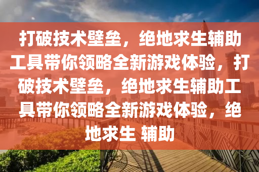 打破技术壁垒，绝地求生辅助工具带你领略全新游戏体验，打破技术壁垒，绝地求生辅助工具带你领略全新游戏体验，绝地求生 辅助