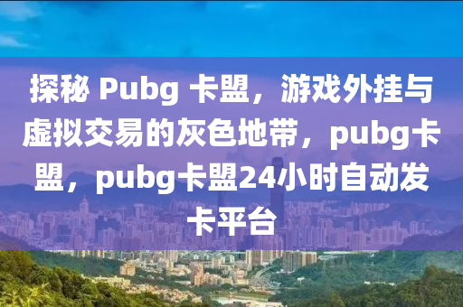 探秘 Pubg 卡盟，游戏外挂与虚拟交易的灰色地带，pubg卡盟，pubg卡盟24小时自动发卡平台