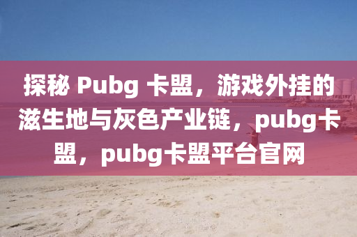 探秘 Pubg 卡盟，游戏外挂的滋生地与灰色产业链，pubg卡盟，pubg卡盟平台官网