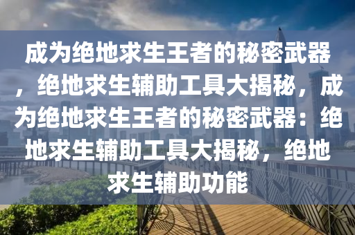 成为绝地求生王者的秘密武器，绝地求生辅助工具大揭秘，成为绝地求生王者的秘密武器：绝地求生辅助工具大揭秘，绝地求生辅助功能