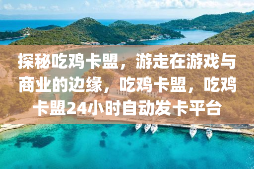 探秘吃鸡卡盟，游走在游戏与商业的边缘，吃鸡卡盟，吃鸡卡盟24小时自动发卡平台