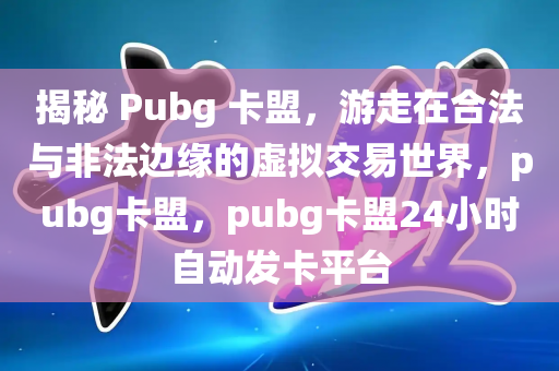 揭秘 Pubg 卡盟，游走在合法与非法边缘的虚拟交易世界，pubg卡盟，pubg卡盟24小时自动发卡平台