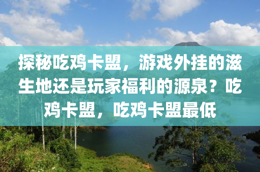 探秘吃鸡卡盟，游戏外挂的滋生地还是玩家福利的源泉？吃鸡卡盟，吃鸡卡盟最低