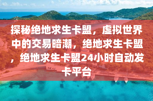 探秘绝地求生卡盟，虚拟世界中的交易暗潮，绝地求生卡盟，绝地求生卡盟24小时自动发卡平台
