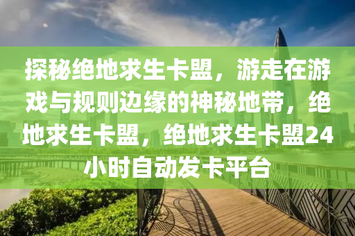 探秘绝地求生卡盟，游走在游戏与规则边缘的神秘地带，绝地求生卡盟，绝地求生卡盟24小时自动发卡平台