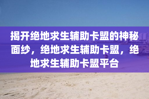 揭开绝地求生辅助卡盟的神秘面纱，绝地求生辅助卡盟，绝地求生辅助卡盟平台