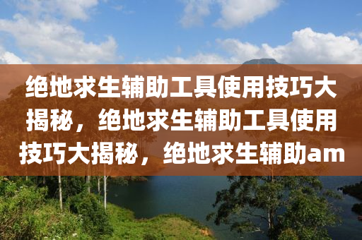 绝地求生辅助工具使用技巧大揭秘，绝地求生辅助工具使用技巧大揭秘，绝地求生辅助am