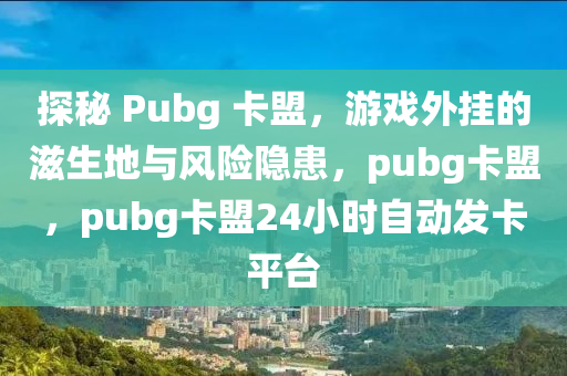 探秘 Pubg 卡盟，游戏外挂的滋生地与风险隐患，pubg卡盟，pubg卡盟24小时自动发卡平台