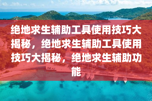 绝地求生辅助工具使用技巧大揭秘，绝地求生辅助工具使用技巧大揭秘，绝地求生辅助功能