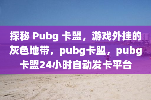 探秘 Pubg 卡盟，游戏外挂的灰色地带，pubg卡盟，pubg卡盟24小时自动发卡平台