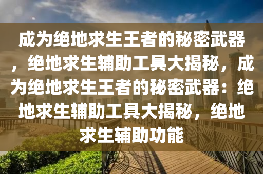 成为绝地求生王者的秘密武器，绝地求生辅助工具大揭秘，成为绝地求生王者的秘密武器：绝地求生辅助工具大揭秘，绝地求生辅助功能