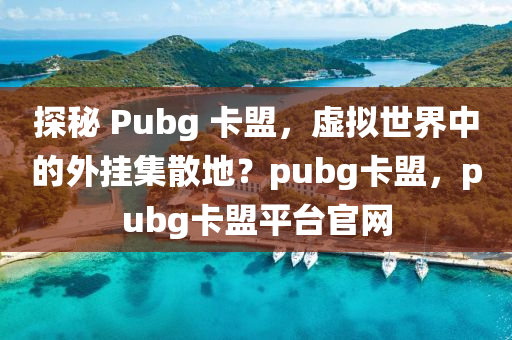 探秘 Pubg 卡盟，虚拟世界中的外挂集散地？pubg卡盟，pubg卡盟平台官网