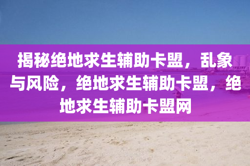 揭秘绝地求生辅助卡盟，乱象与风险，绝地求生辅助卡盟，绝地求生辅助卡盟网