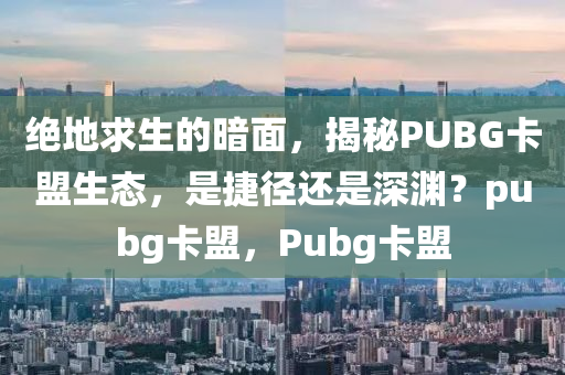 绝地求生的暗面，揭秘PUBG卡盟生态，是捷径还是深渊？pubg卡盟，Pubg卡盟