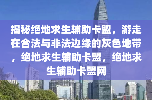 揭秘绝地求生辅助卡盟，游走在合法与非法边缘的灰色地带，绝地求生辅助卡盟，绝地求生辅助卡盟网