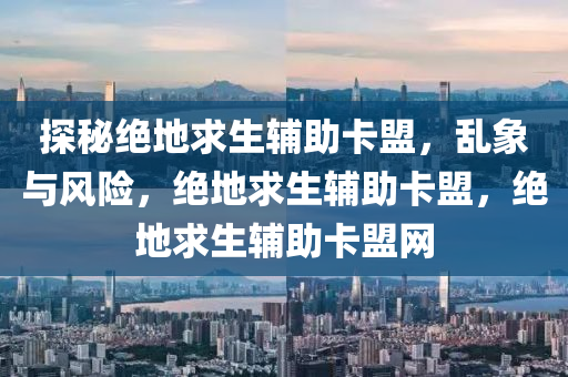 探秘绝地求生辅助卡盟，乱象与风险，绝地求生辅助卡盟，绝地求生辅助卡盟网