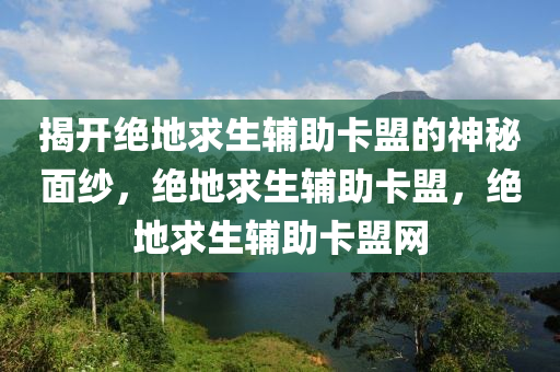 揭开绝地求生辅助卡盟的神秘面纱，绝地求生辅助卡盟，绝地求生辅助卡盟网