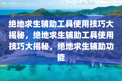 绝地求生辅助工具使用技巧大揭秘，绝地求生辅助工具使用技巧大揭秘，绝地求生辅助功能